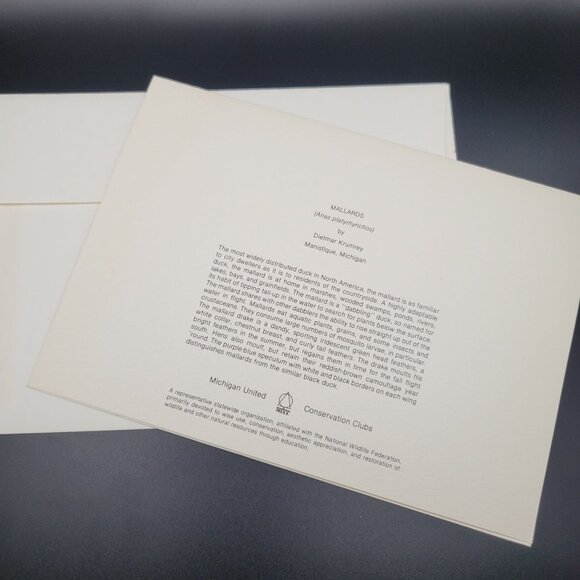 Vintage Mallard Duck Greeting Card Pair on Lake with Info Back Blank Inside - Picture 3 of 5